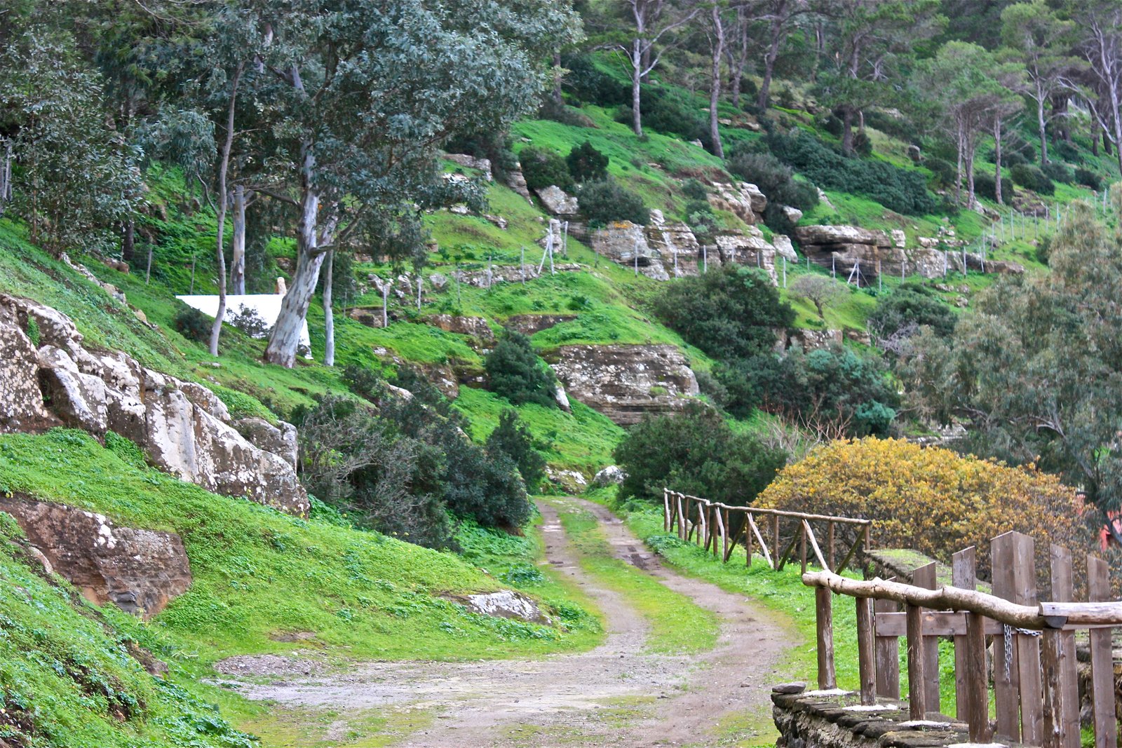 Trekking a Ustica | Hotel Clelia camere e appartamenti