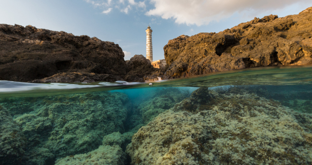 The activities of the Marine Protected Area 